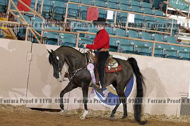 Proof 11yn_09838