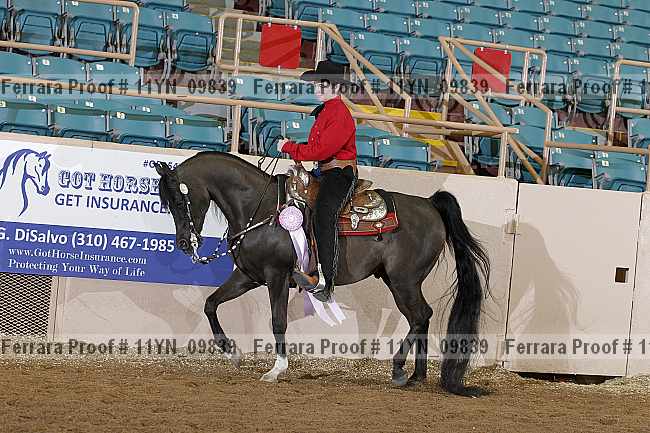 Proof 11yn_09839