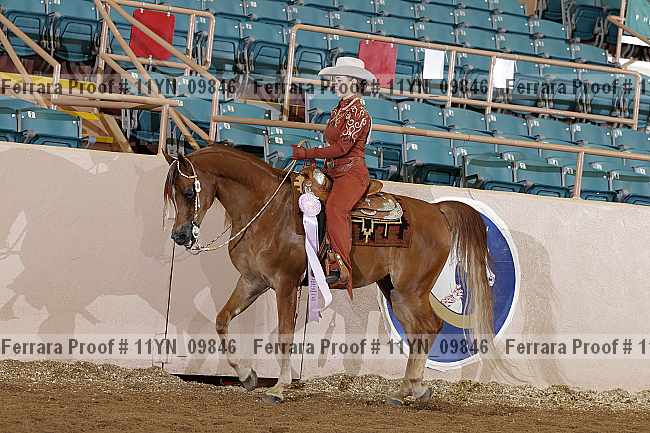 Proof 11yn_09846