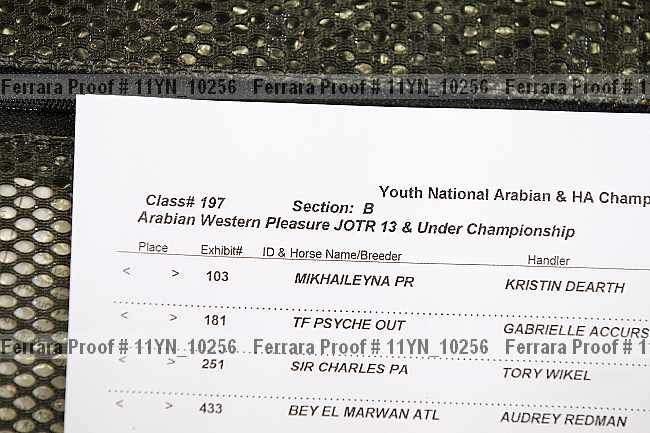 Proof 11yn_10256