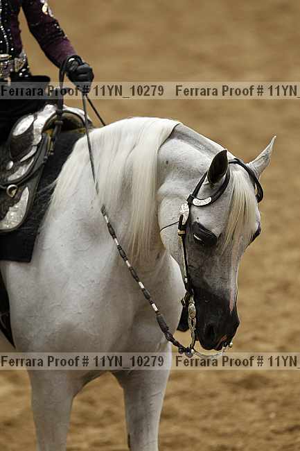 Proof 11yn_10279