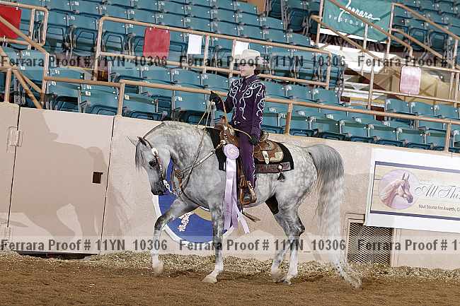 Proof 11yn_10306