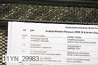 11yn_29983 proof