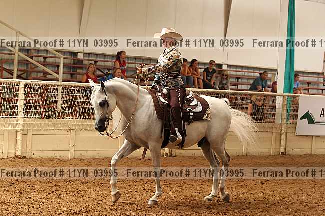 Proof 11yn_03995