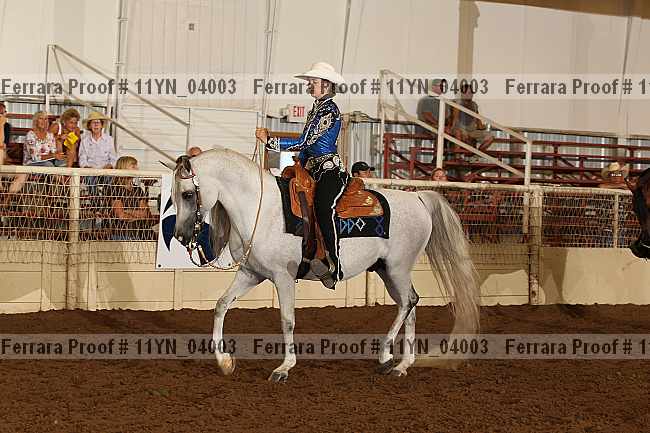 Proof 11yn_04003