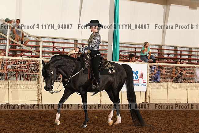 Proof 11yn_04007