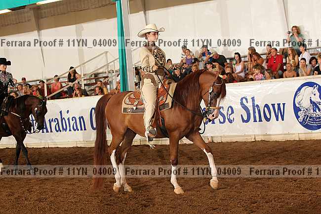 Proof 11yn_04009