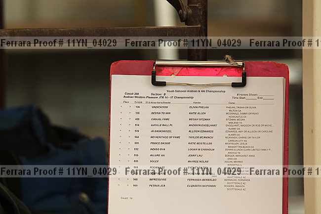 Proof 11yn_04029