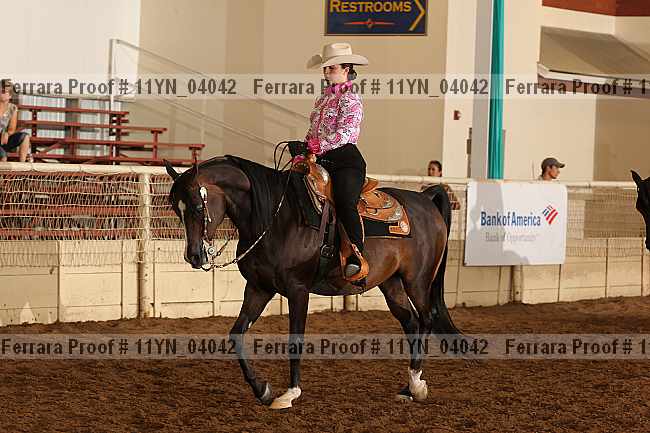 Proof 11yn_04042