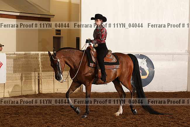 Proof 11yn_04044