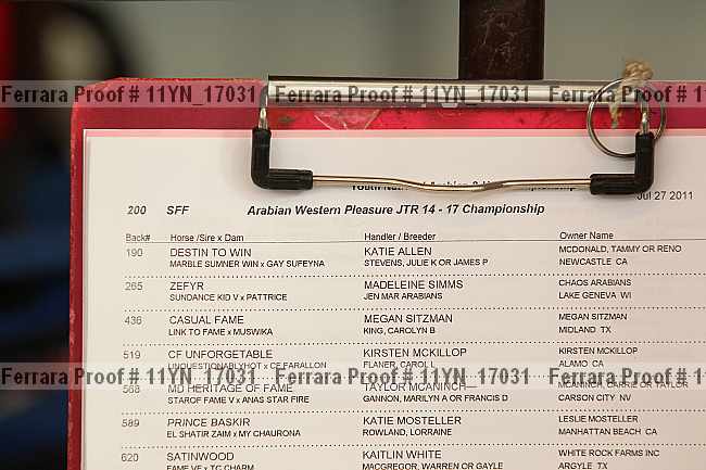 Proof 11yn_17031