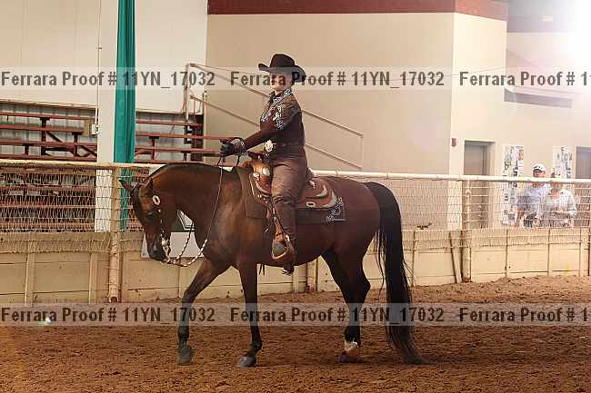 Proof 11yn_17032