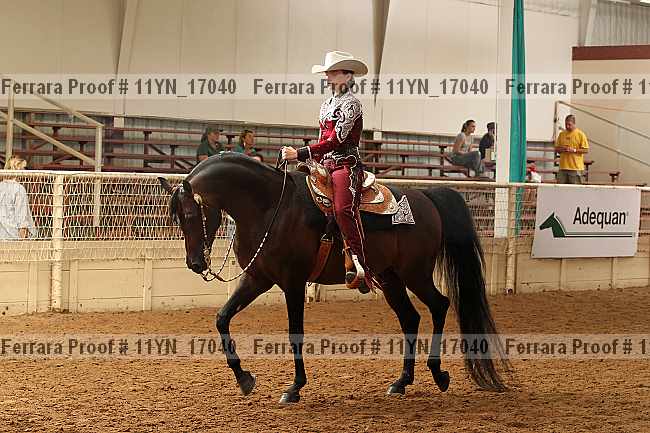 Proof 11yn_17040