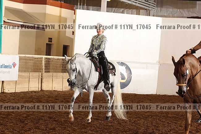 Proof 11yn_17045