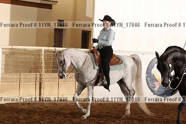 Proof 11yn_17046