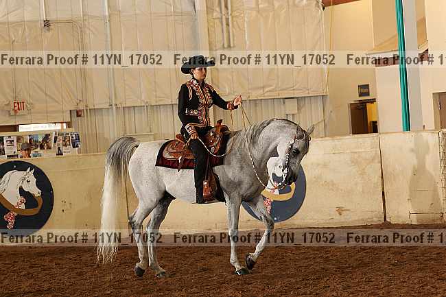 Proof 11yn_17052