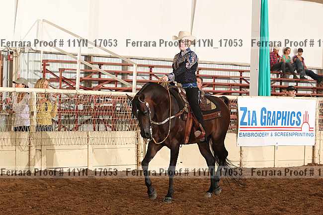 Proof 11yn_17053