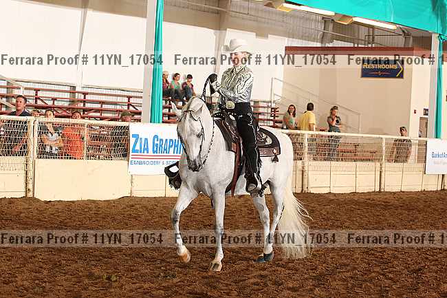 Proof 11yn_17054