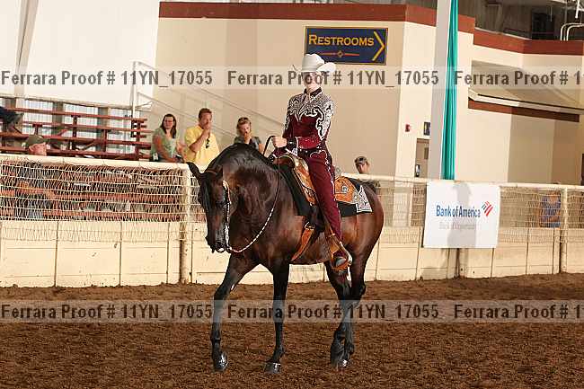Proof 11yn_17055