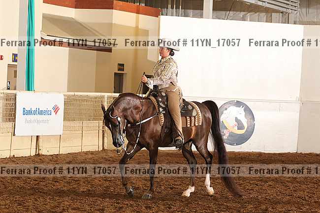 Proof 11yn_17057