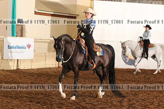 Proof 11yn_17061