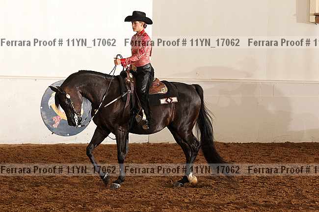 Proof 11yn_17062