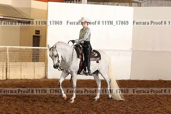 Proof 11yn_17069