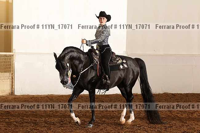 Proof 11yn_17071