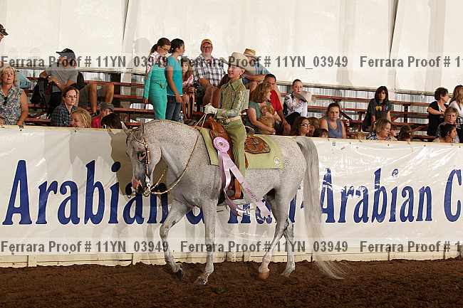 Proof 11yn_03949