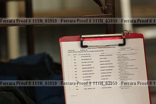 Proof 11yn_03959