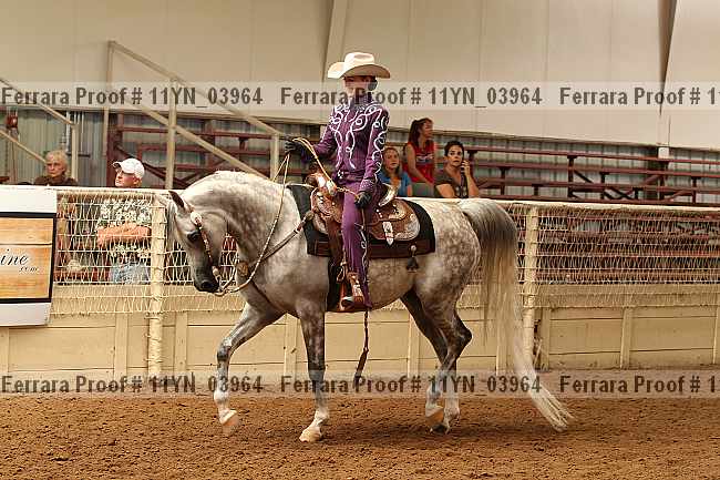 Proof 11yn_03964