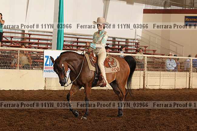 Proof 11yn_03966