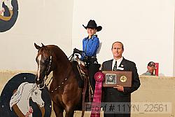 11yn_22561 proof