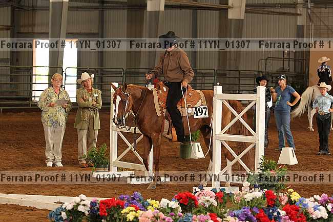 Proof 11yn_01307