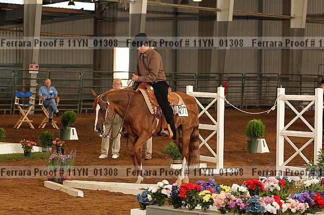 Proof 11yn_01308