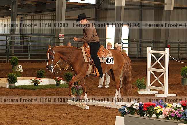 Proof 11yn_01309
