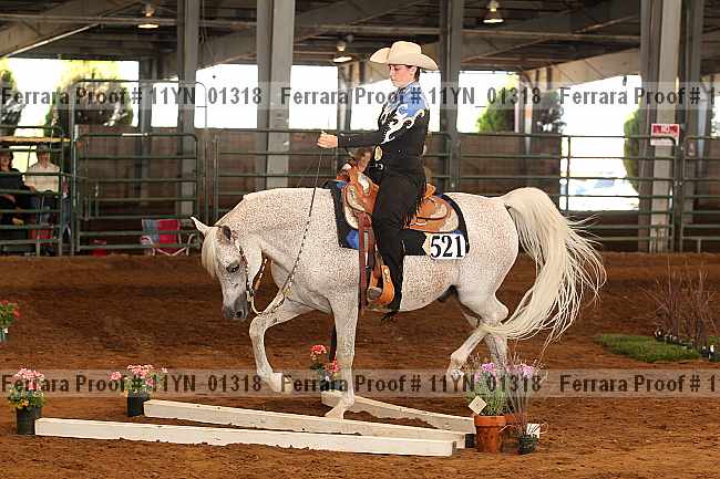 Proof 11yn_01318