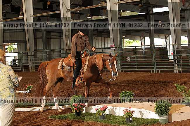 Proof 11yn_01232