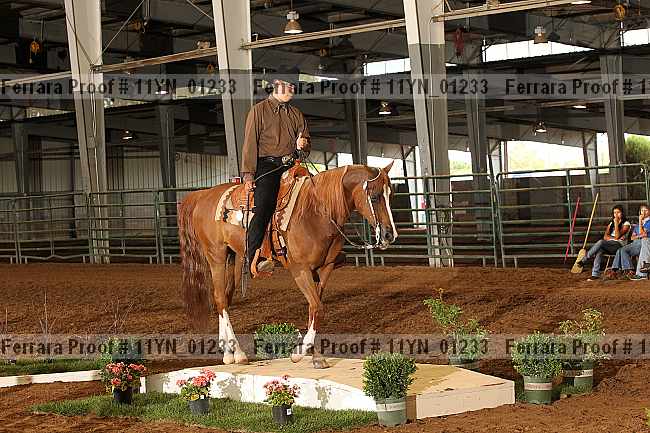 Proof 11yn_01233