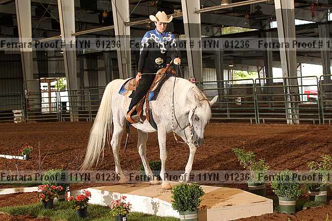Proof 11yn_01236