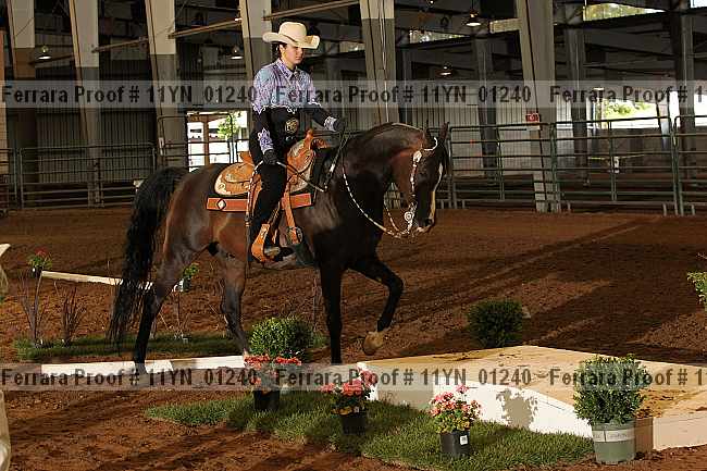 Proof 11yn_01240