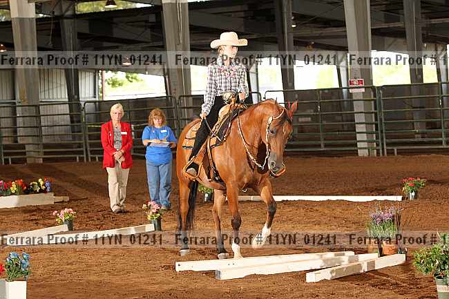Proof 11yn_01241