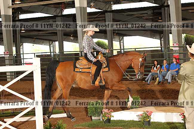 Proof 11yn_01242