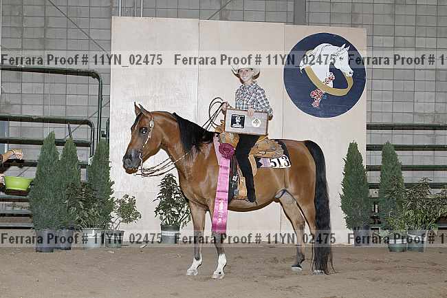 Proof 11yn_02475
