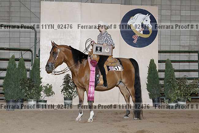 Proof 11yn_02476