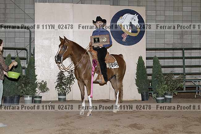 Proof 11yn_02478