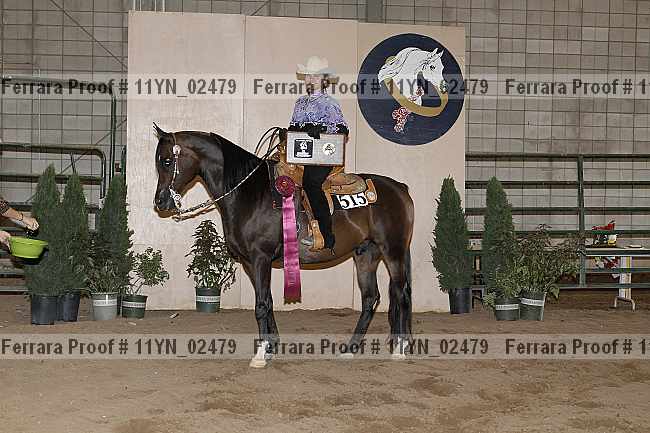 Proof 11yn_02479