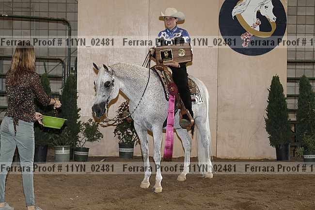 Proof 11yn_02481