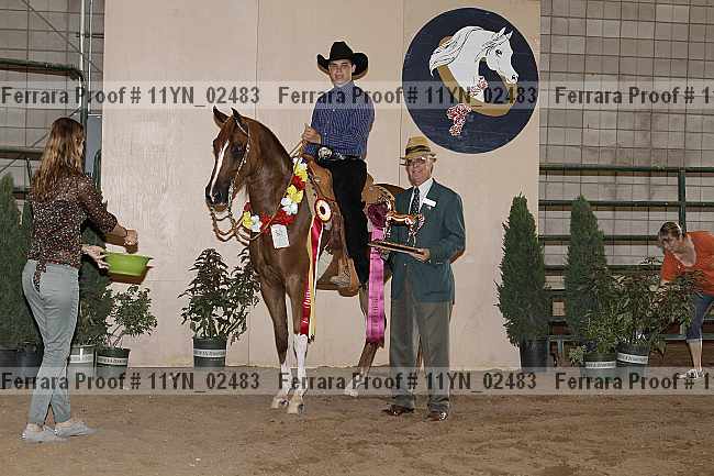 Proof 11yn_02483