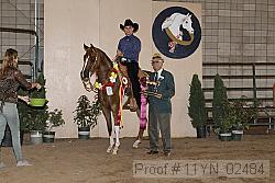 11yn_02484 proof
